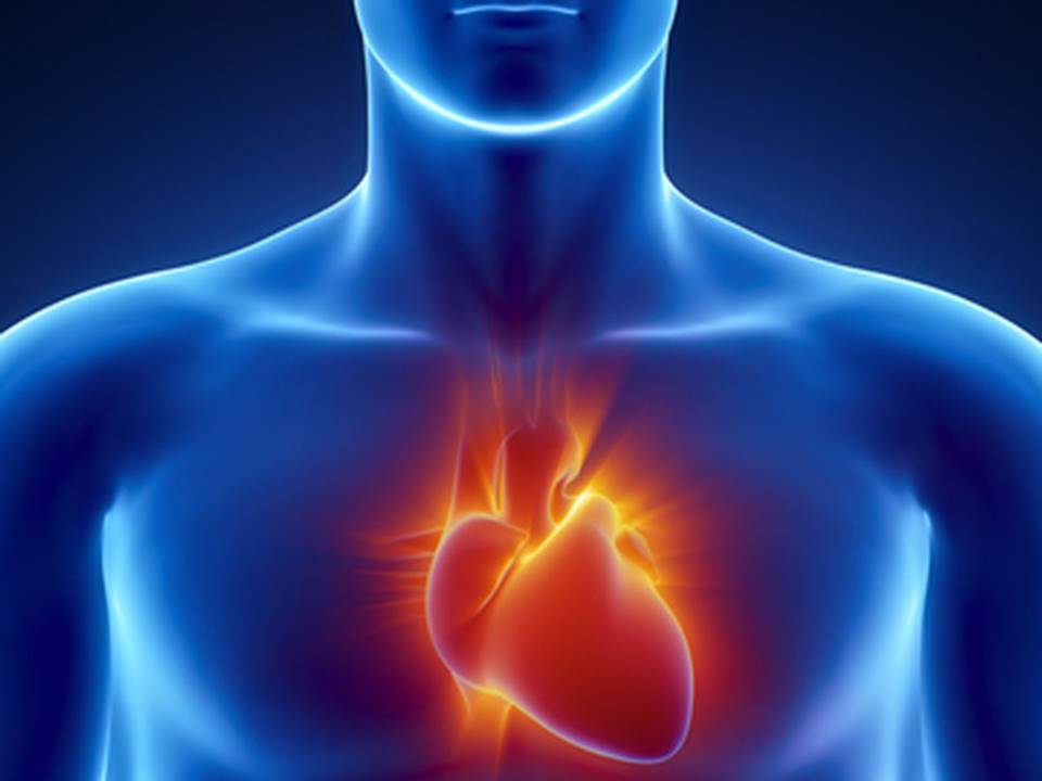 Examine Your Heart
